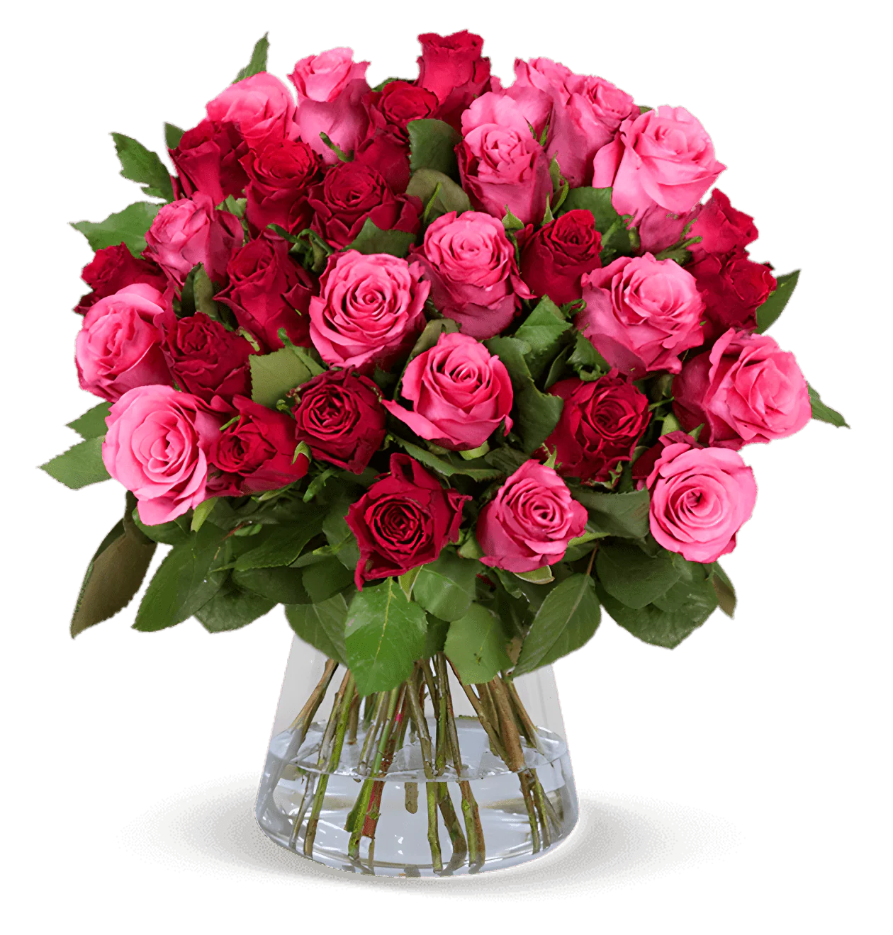 30 Rosen - "Romantic Roses"