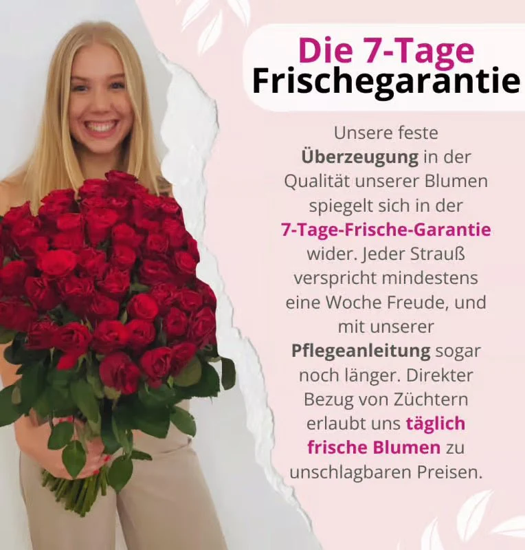 60 weiße Rosen - Image 6