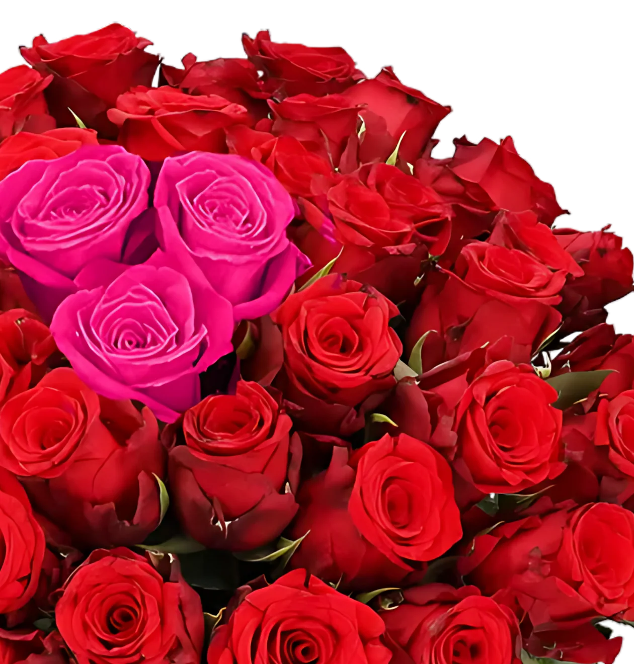 70 Rosen - "Heartbeat" - Image 2