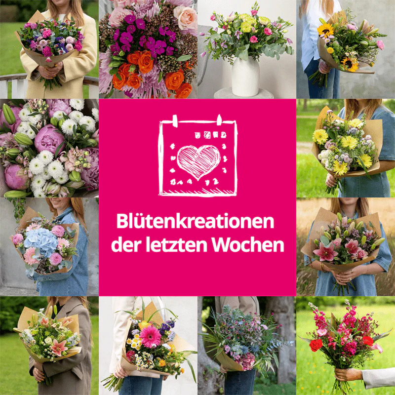 Blumenabo - Image 4