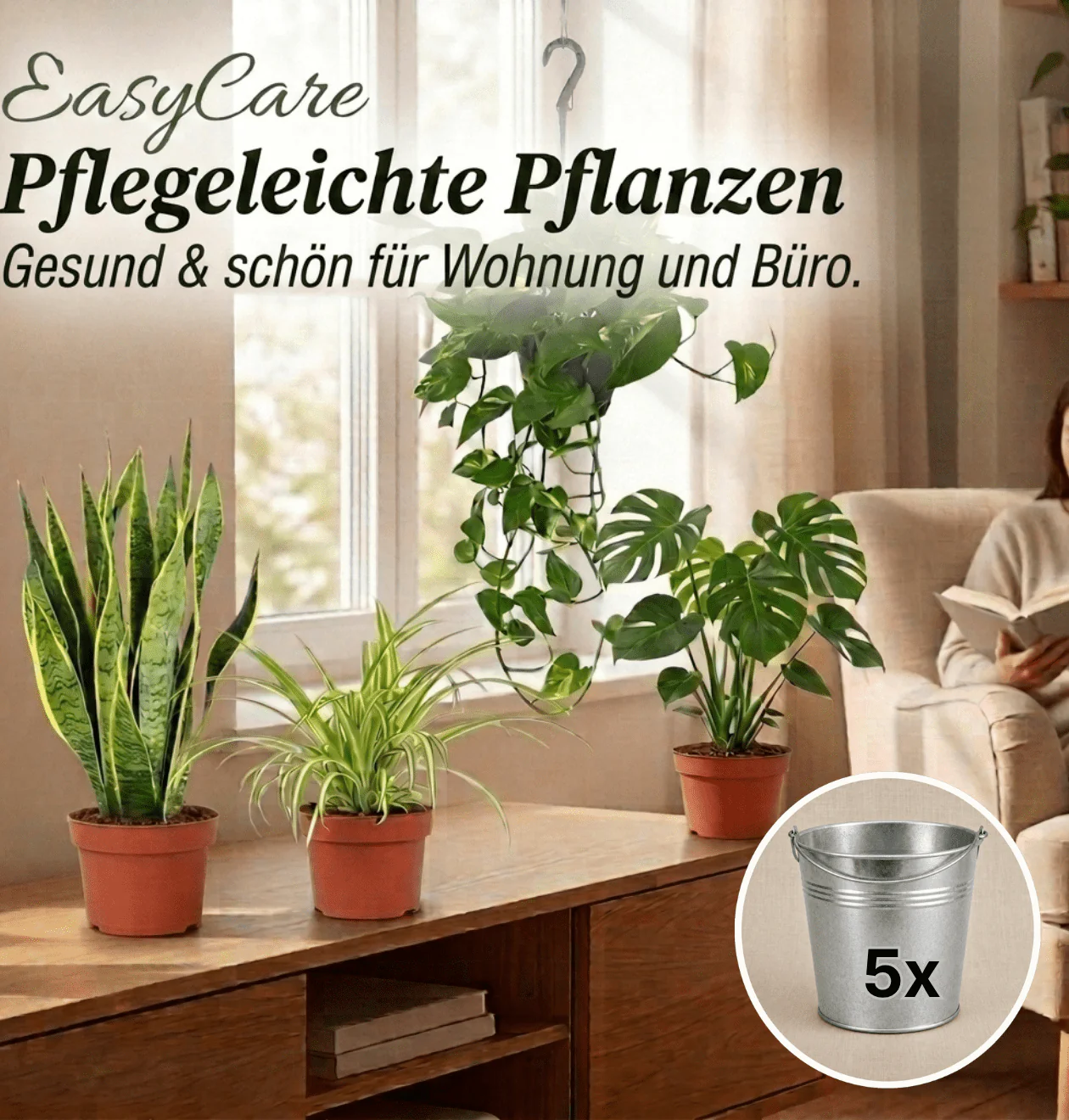“EasyCare” Pflanzenset + 5x Zinktopf | 5er-Set | ca. 30-60 cm | Ø 12-15 cm Topf - Image 2