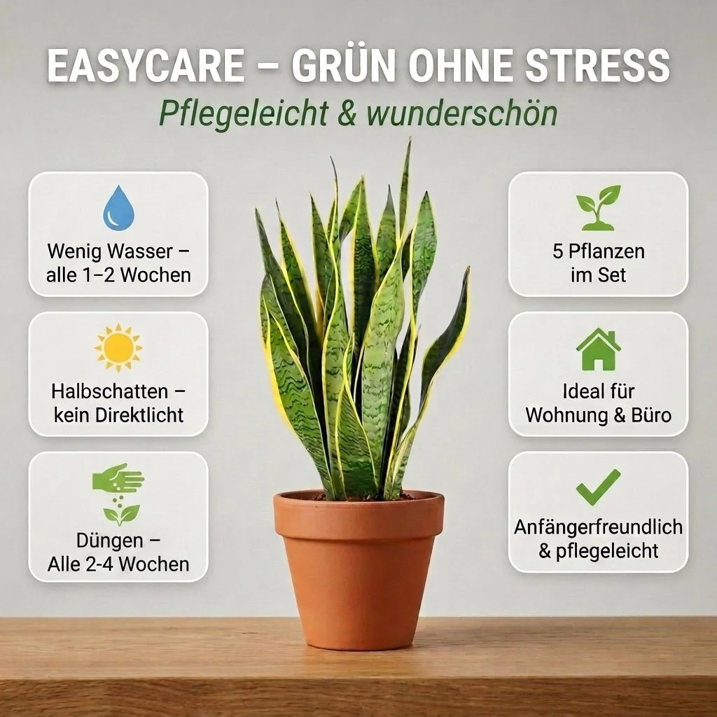 “EasyCare” Pflanzenset + 5x Zinktopf | 5er-Set | ca. 30-60 cm | Ø 12-15 cm Topf - Image 4
