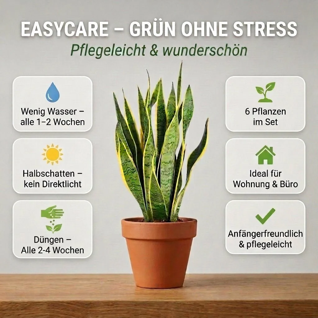 “EasyCare” Pflanzenset + 6x Zinktopf | 6er-Set | ca. 30-60 cm | Ø 12-15 cm Topf - Image 4