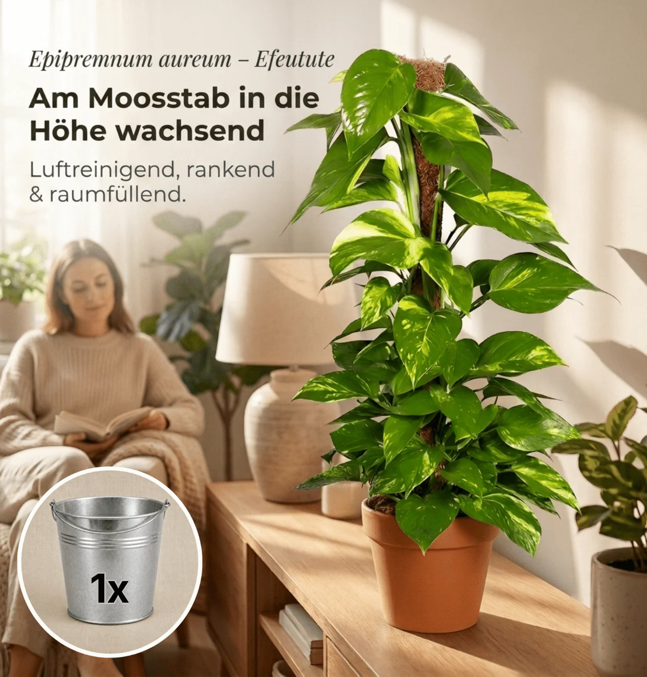 Vorschaubild 2