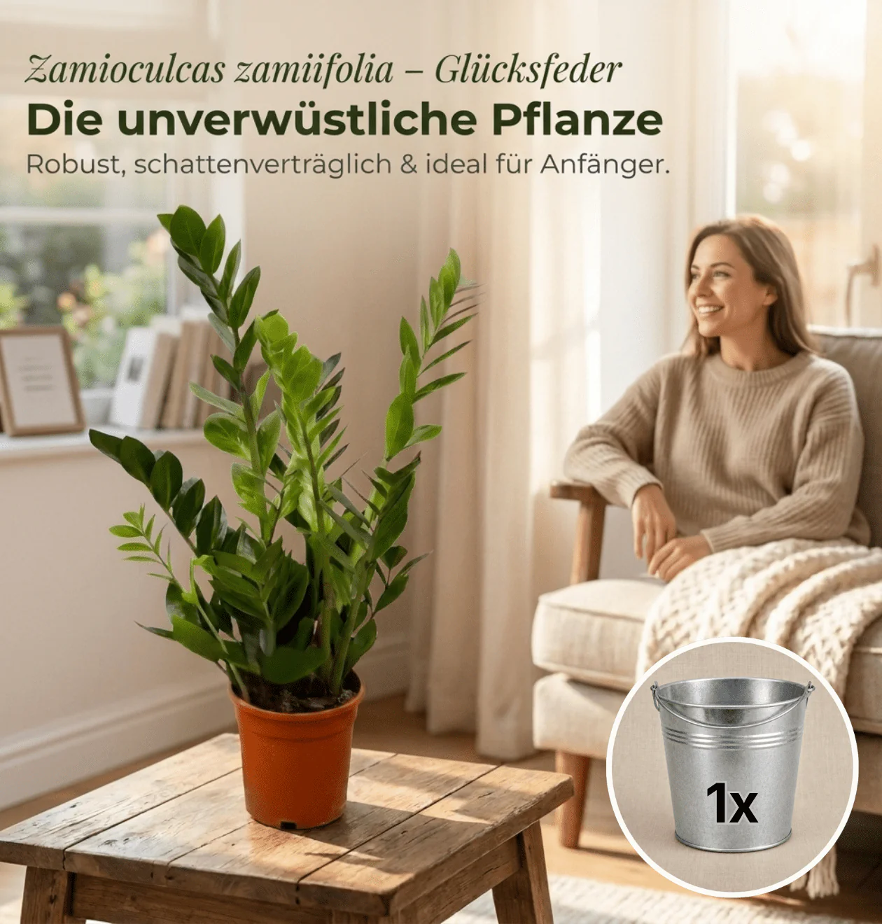 Glücksfeder + 1x Zinktopf | Zamioculcas zamiifolia | ca. 40-50 cm | Ø 12-15 cm Topf - Image 2