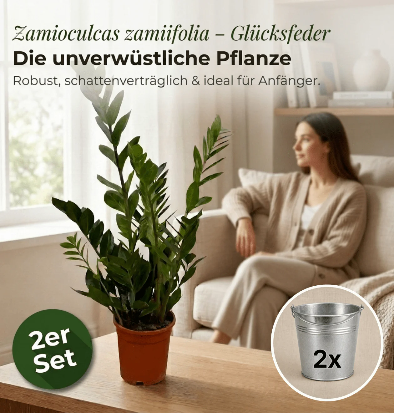 Glücksfeder + 2x Zinktopf | 2er-Set | Zamioculcas zamiifolia | ca. 40-50 cm | Ø 12-15 cm Topf - Image 2