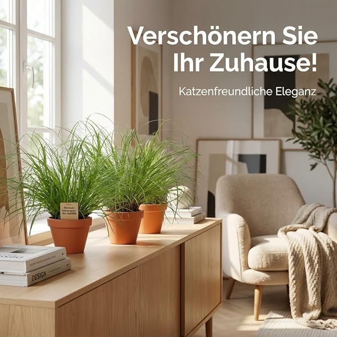 Katzengras + 7x Zinktopf | 7er-Set | Cyperus zumula | ca. 20-30 cm | Ø 12-15 cm Topf - Image 3