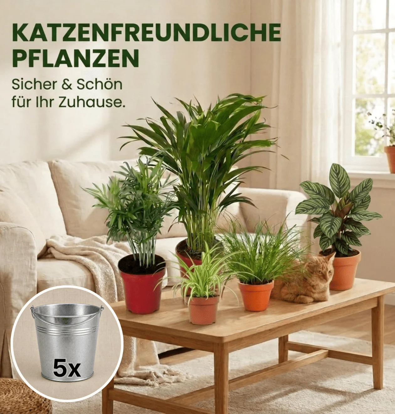 “Katzenliebhaber” Pflanzenset + 5x Zinktopf | 5er-Set | ca. 30-45 cm | Ø 12-15 cm Topf - Image 2