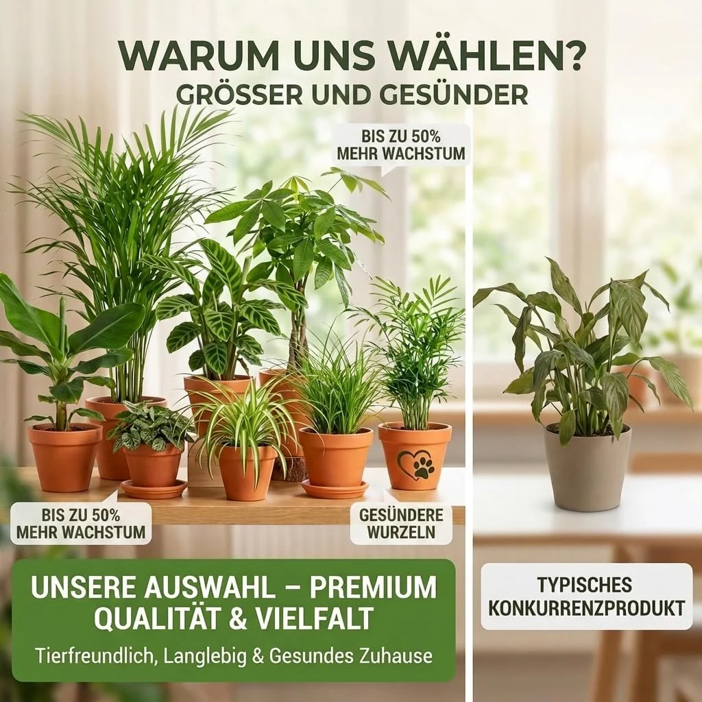 “Katzenliebhaber” Pflanzenset + 5x Zinktopf | 5er-Set | ca. 30-45 cm | Ø 12-15 cm Topf - Image 6