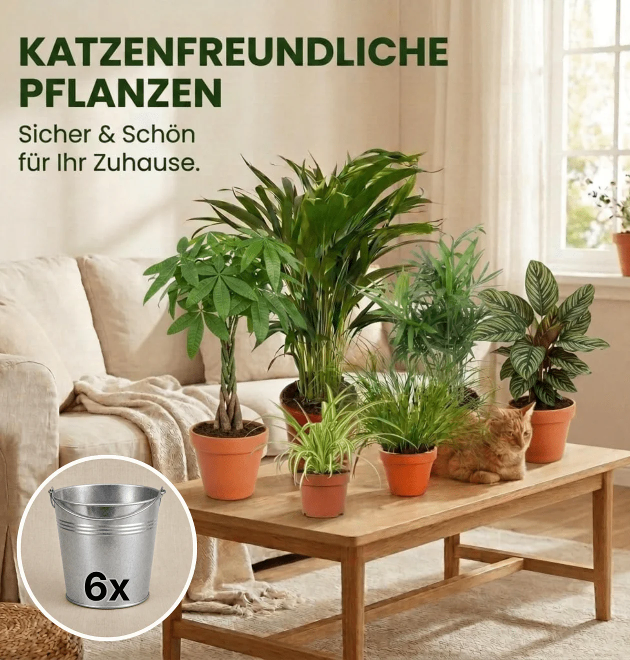 “Katzenliebhaber” Pflanzenset + 6x Zinktopf | 6er-Set | ca. 30-45 cm | Ø 12-15 cm Topf - Image 2
