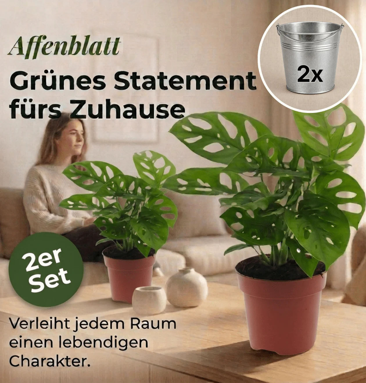 Monstera adansonii + 2x Zinktopf | 2er-Set | Monkey Leaf | ca. 25-30 cm | Ø 12-15 cm Topf - Image 2