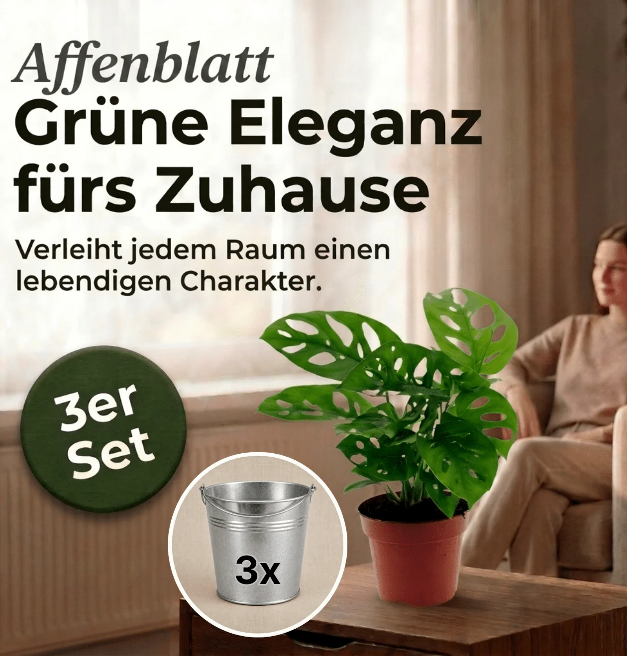 Monstera adansonii + 3x Zinktopf | 3er-Set | Monkey Leaf | ca. 25-30 cm | Ø 12-15 cm Topf - Image 2