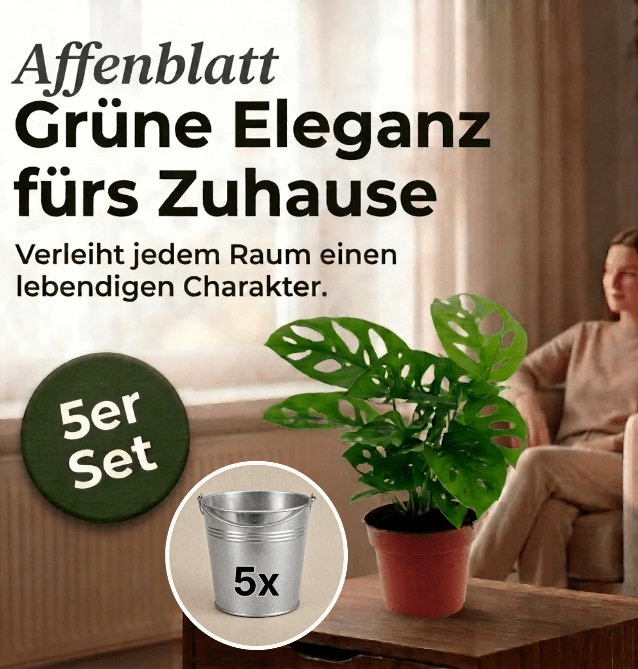Monstera adansonii + 5x Zinktopf | 5er-Set | Monkey Leaf | ca. 25-30 cm | Ø 12-15 cm Topf - Image 2