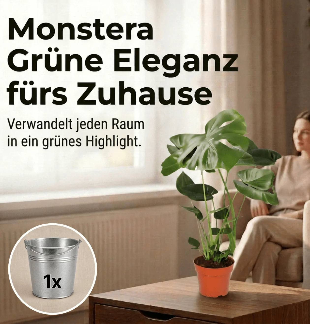 Vorschaubild 2