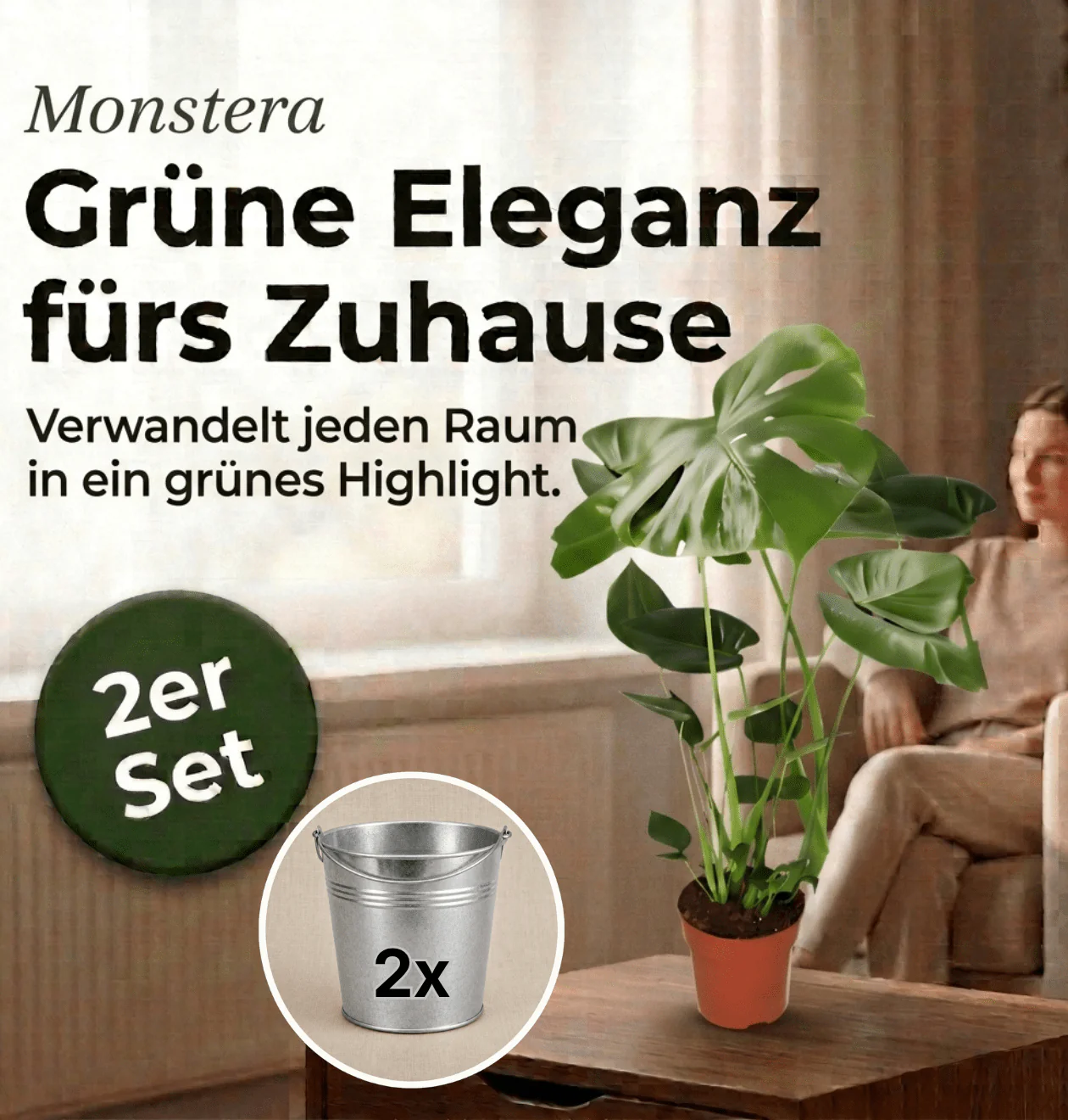 Monstera deliciosa + 2x Zinktopf | 2er-Set | Fensterblatt | ca. 55-70 cm | Ø 12-15 cm Topf - Image 2