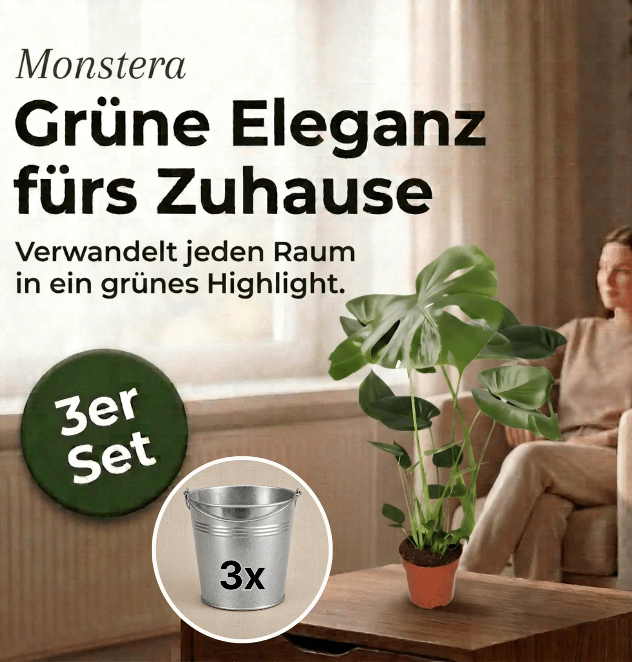 Monstera deliciosa + 3x Zinktopf | 3er-Set | Fensterblatt | ca. 55-70 cm | Ø 12-15 cm Topf - Image 2