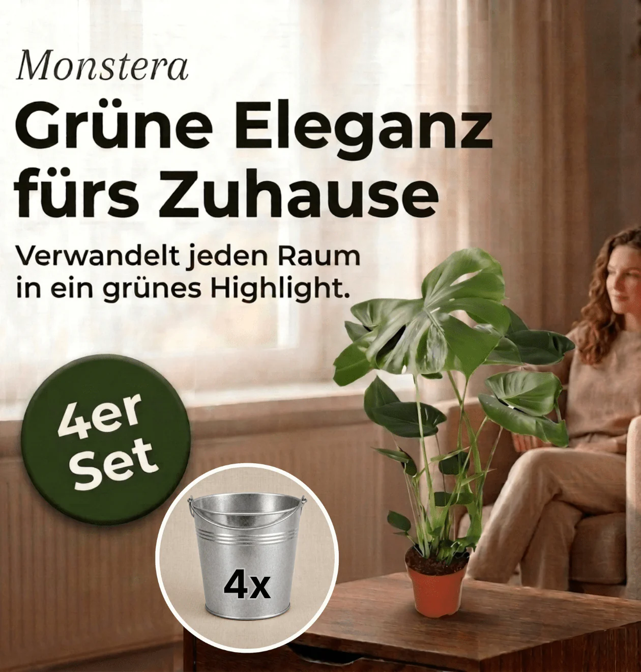 Monstera deliciosa + 4x Zinktopf | 4er-Set | Fensterblatt | ca. 55-70 cm | Ø 12-15 cm Topf - Image 2