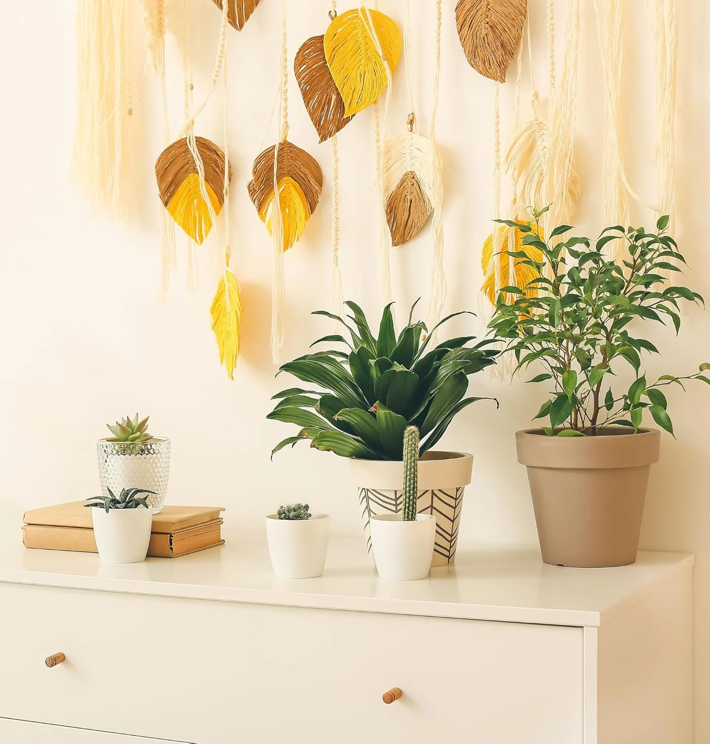 Pflanzenüberraschung + 8x Zinktopf | 8er-Set | ca. 30-70 cm | Ø 12-15 cm Topf - Image 10