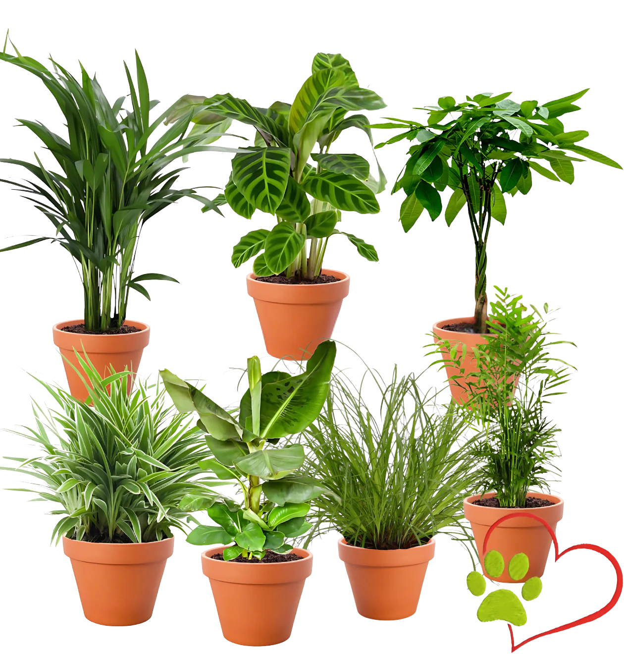 “Tierfreund” Pflanzen-Set | 7er-Set | ca. 30-60 cm | Ø 12-15 cm Topf